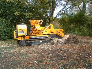 Stump grinder