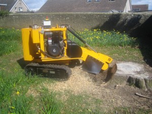 Predator radio remote narrow 26 inch (66 centimetres) stump grinder