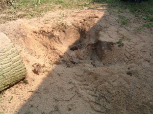 Stump Gone
